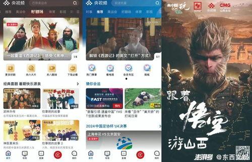 视频国产精品,匠心独运，光影交织的艺术盛宴